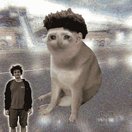 A small cutout of a smiling young man stands next to a giant cat with a curly black wig in a grainy, distorted urban scene. The post references "$cashcat," playing on the absurd juxtaposition of the wigged cat resembling a cash-stacked character to humorously suggest wealth or a viral meme moment.
