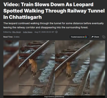 A news screenshot titled "Video: Train Slows Down As Leopard Spotted Walking Through Railway Tunnel In Chhattisgarh," by India News, dated Aug 27, 2026.