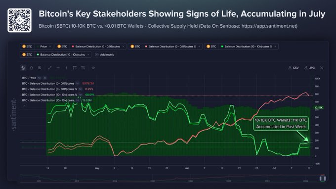 A Santiment chart shows that Bitcoin ($BTC) wallets holding 10–10K BTC have accumulated roughly 11,000 BTC in the past week, reflecting renewed accumulation by key stakeholders in July.