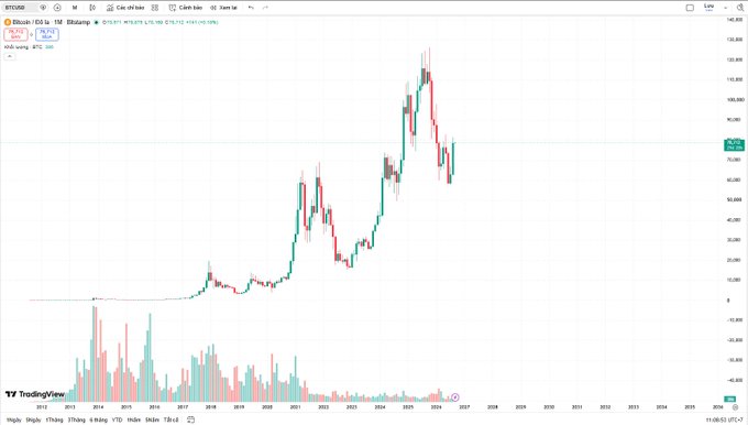 A long-term Bitcoin/USD price chart on TradingView showing historical candlestick price action from around 2014 to 2024.