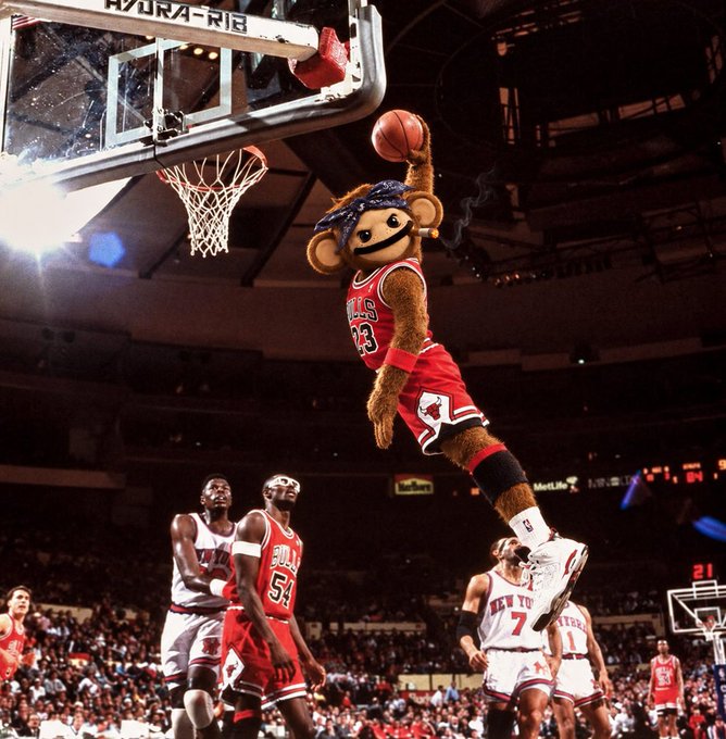 The Chicago Bulls mascot Benny the Bull performs a slam dunk during a basketball game, hanging on the rim while players from the Bulls and Knicks look on.