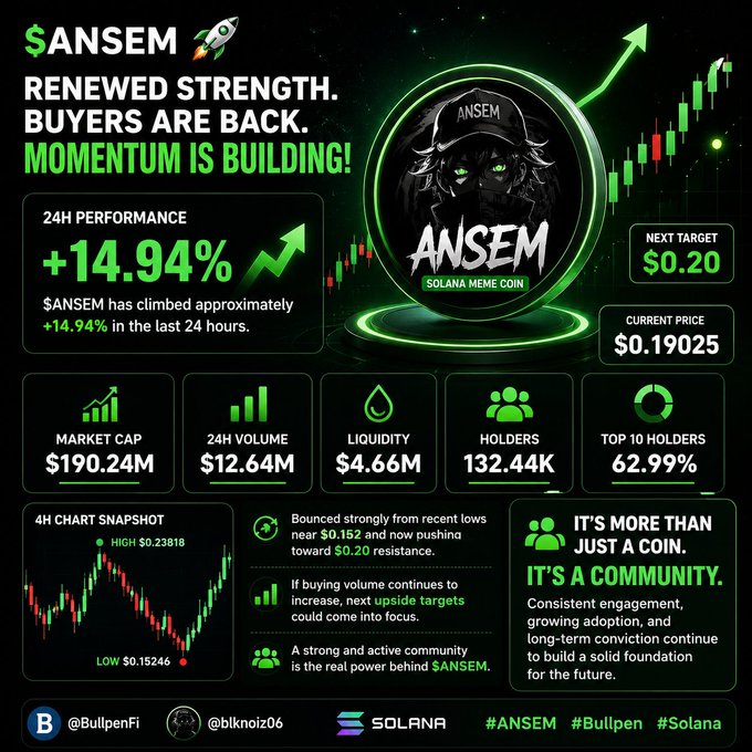 This image is a promotional infographic for the Solana meme coin $ANSEM, featuring an anime-style character in a black hat with the coin's logo on a dark green background. The graphic highlights key metrics showing a +14.94% 24-hour price increase to $0.19025, a market cap of $190.24M, 24h volume of $12.64M, liquidity of $4.66M, and 132.44K holders, with a next price target of $0.20 and a 4H candlestick chart snapshot showing a recovery from $0.15246 to a high of $0.23818.