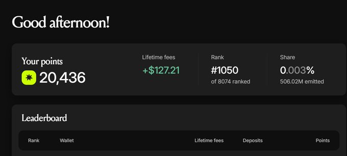 A dark-themed dashboard greeting "Good afternoon!" displaying a points account with 20,436 points, lifetime fees of +$127.21, rank #1050 of 8074, and a share of 0.003% (506.02M emitted), with a Leaderboard section below.