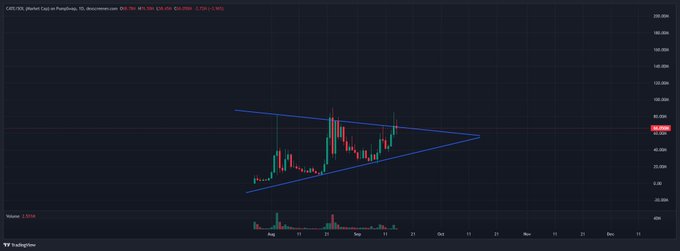 A TradingView chart displays the GBP/JPY currency pair on a daily timeframe, with a bullish symmetrical triangle pattern drawn in blue converging toward the right side near the 195.00 level, while the accompanying post about $CATE (Samoyed Cat) appears unrelated to this forex technical analysis image.
