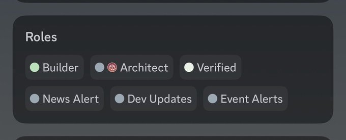 A dark-themed interface panel showing role tags including 'Builder', 'Architect', 'Verified', 'News Alert', 'Dev Updates', and 'Event Alerts'.