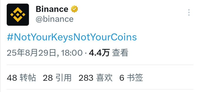 A tweet from the verified Binance account (@binance) posted on August 29 reading "#NotYourKeysNotYourCoins" with 4.4万 views.