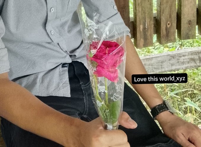 A person in a light blue striped shirt holds a single pink rose wrapped in clear plastic with cartoon designs, accompanied by the text 'Love this world.xyz'.