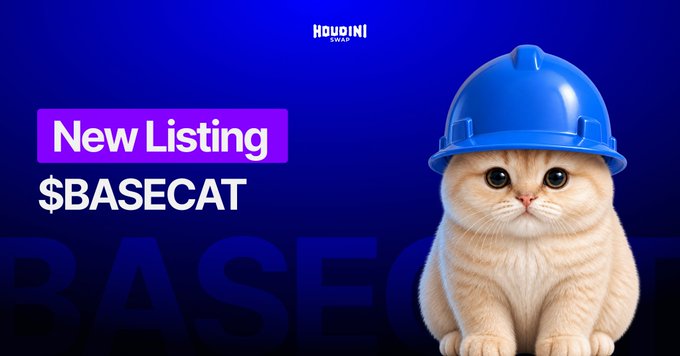 An adorable cat wearing a blue hard hat sits beside a "New Listing" banner for "$BASECAT," promoting the token's launch on Houdini as announced in the post. The image ties directly to the tweet by visually highlighting the helmet-wearing cat mascot of @BasecatOnBase and the new listing event on Houdini.