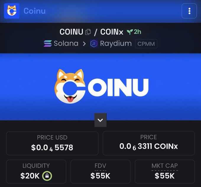 A screenshot of the COINU/COINx token pair on Raydium (Solana), showing a price of $0.0₄5578, $20K liquidity, and a $55K FDV/Market Cap. The image highlights an extremely low-liquidity microcap token, reinforcing the post's implication that its future significance ("obvious in hindsight") will be recognized after the fact — likely a tongue-in-cheek reference to either a moonshot or a rug-pull scenario typical of such thin-order-book tokens.
