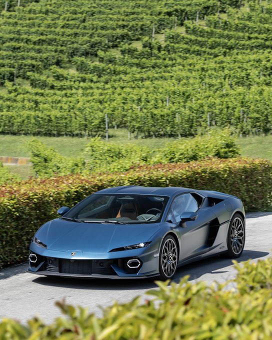 A sleek matte blue-gray Lamborghini sports car parked on a paved surface in front of a lush, terraced green vineyard.