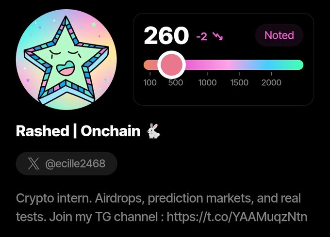 A profile card for crypto user 'Rashed | Onchain' (@ecille2468) showing a Notcoin score of 260, down 2, with a bio about crypto airdrops and prediction markets, linking to a Telegram channel.