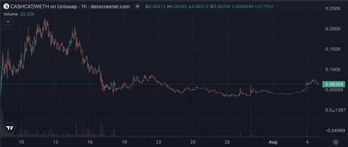 A Dexscreener chart shows the CASHCAT/WETH trading pair on Uniswap, with the token price recovering from lows around 0.04999 to approximately 0.06359 (+0.73%), supporting the post's optimism about a potential RobinHood listing. The 1-hour candle chart displays the price's recent upward movement from its bottom range, visually confirming the "cooking away nicely from the lows" narrative.