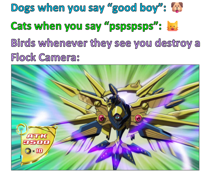 A meme image with text reading 'Dogs when you say "good boy":', 'Cats when you say "pspspsps":', and 'Birds whenever they see you destroy a Flock Camera:', followed by an image of a Yu-Gi-Oh! winged monster card with ATK 3500.
