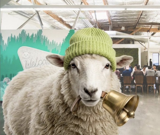 A whimsical photo of a sheep wearing a green knit beanie holding a brass bell in its mouth, standing in an event space with a 'Welcome' sign and a green forest mural in the background.