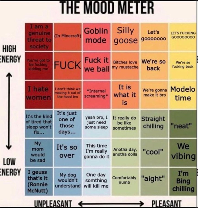 A 'MOOD METER' chart displaying various emotional states organized by energy level (high to low) and pleasantness (unpleasant to pleasant), with humorous entries like 'Goblin mode', 'Fuck it we ball', 'Silly goose', and 'We vibing'.