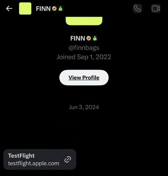 A mobile chat screen showing a conversation with user 'FINN' (@finnbags) who joined on September 1, 2022, with a link to testflight.apple.com shared on June 3, 2024.