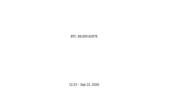 A minimalist white screen displays the text 'BTC: 86,000.62978' with a timestamp of '11:15 • Sep 22, 2026'.