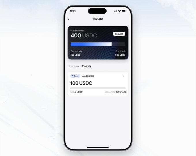 The image shows a mobile app screen titled "Pay Later" displaying a credit overview with 400 USDC available, 100 USDC current debt, and a 500 USDC credit limit, along with a credit history entry from "Food" dated Jun 23, 2026 for 100 USDC. This visually demonstrates the crypto-native loan concept described in the post, where on-chain wallet history (like a 100 USDC food purchase) functions as credit history to determine borrowing power without traditional collateral.