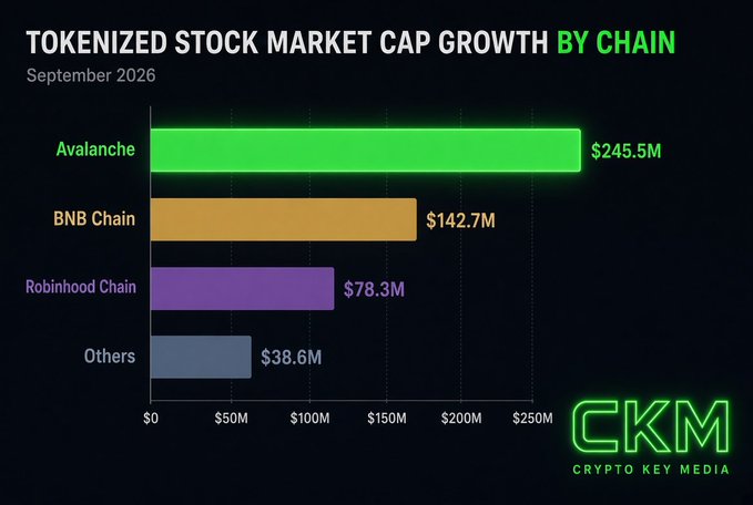 A bar chart titled 'TOKENIZED STOCK MARKET CAP GROWTH BY CHAIN' for September 2026, showing Avalanche leading at $245.5M, followed by BNB Chain ($142.7M), Robinhood Chain ($78.3M), and Others ($38.6M), branded with 'CKM CRYPTO KEY MEDIA'.
