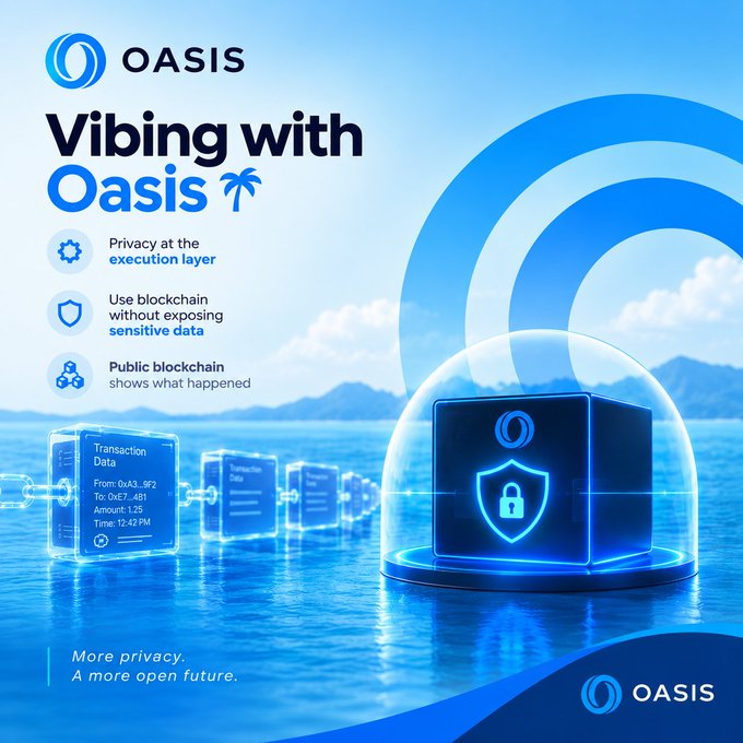 Promotional graphic for 'Oasis' blockchain with the tagline 'Vibing with Oasis' and features including 'Privacy at the execution layer', 'Use blockchain without exposing sensitive data', and 'Public blockchain shows what happened', ending with 'More privacy. A more open future.'