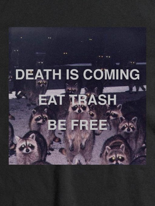 A meme image featuring a group of raccoons looking at the camera with the text 'DEATH IS COMING EAT TRASH BE FREE'.