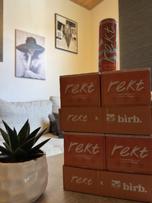 A pyramid of orange 'rekt x birb' boxes topped with a matching energy drink can sits on a table next to a potted succulent, with framed wall art and a gray sofa visible in the background living room setting.