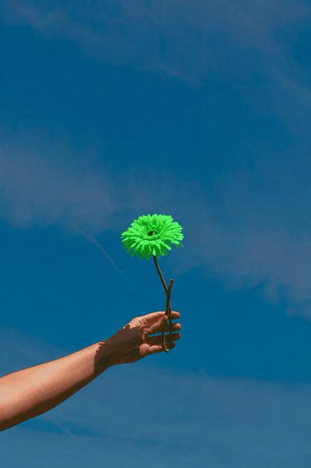 A hand holding up a single bright green flower against a vivid blue sky with wispy clouds.