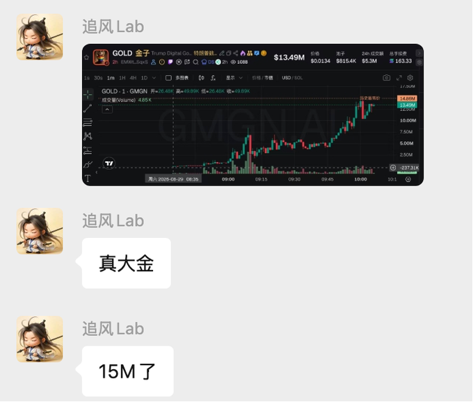 A chat screenshot from 追风 Lab showing a Trump Digital Go. GOLD 金子 token chart reaching $13.49M market cap, with messages stating "真大金" and "15M 了".