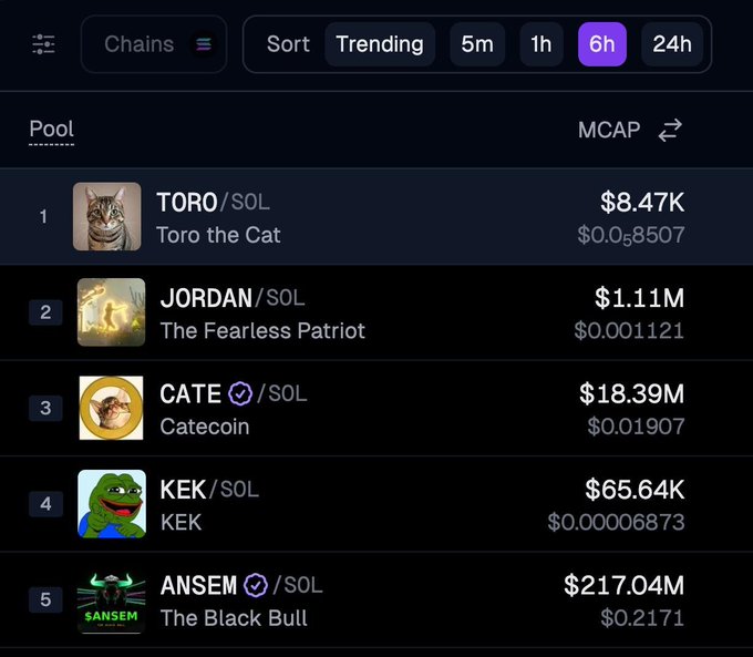 A crypto market tracking interface showing a 6h trending pools leaderboard on the SOL chain, ranking 'TORO/SOL - Toro the Cat' at $8.47K (#1), 'JORDAN/SOL - The Fearless Patriot' at $1.11M (#2), 'CATE/SOL - Catecoin' at $18.39M (#3), 'KEK/SOL' at $65.64K (#4), and 'ANSEM/SOL - The Black Bull' at $217.04M (#5).