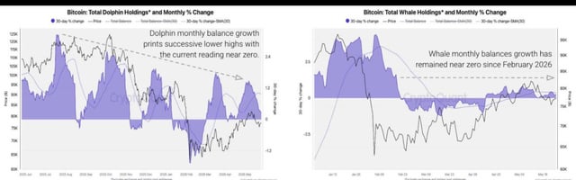 The image features two different charts showing the cryptocurrency markets, with Bitcoin specifically. One of the charts displays a blue line indicating an upward trend for Bitcoins, while the other has a purple line representing a downward trend for similar digital assets. In addition, there is a data point that reads "While month by month change", which suggests fluctuations in Bitcoin's price over time may be related to seasonal patterns or shifts in market sentiment. The post on this image mentions "CryptoQuant seeing some cracks in BTC whale demand now". This phrase could either refer to the downward trend shown in the chart, or a statement about the overall health of Bitcoin investments.