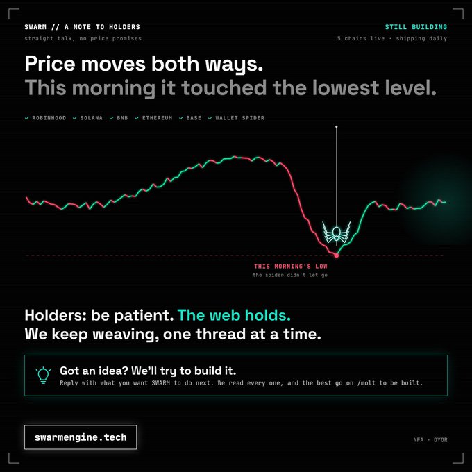 A digital dashboard displays a price chart with the headline 'Price moves both ways. This morning it touched the lowest level.' It features a graph marked 'THIS MORNING'S LOW' with an ant/spider icon, and text reading 'Holders: be patient. The web holds. We keep weaving, one thread at a time.' along with chains listed like ROBINHOOD, SOLANA, BNB, ETHEREUM, BASE, and WALLET SPIDER, plus 'swarmengine.tech' and 'NFA - DYOR'.
