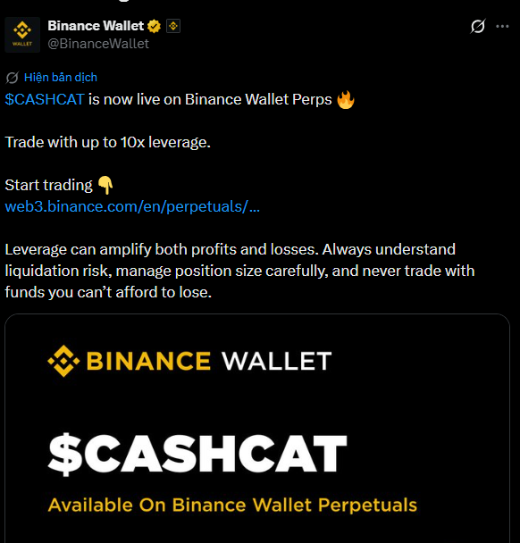 A screenshot of a tweet from Binance Wallet (@BinanceWallet) announcing '$CASHCAT is now live on Binance Wallet Perps' with 10x leverage, accompanied by risk warnings.