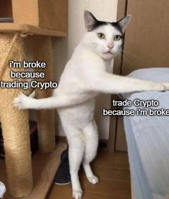 A black-and-white cat stands upright on its hind legs in a startled pose next to a scratching post, with text reading "i'm broke because trading Crypto" and "trade Crypto because i'm broke," humorously illustrating the no-win cycle of cryptocurrency trading that the post's "no middle ground" caption refers to.