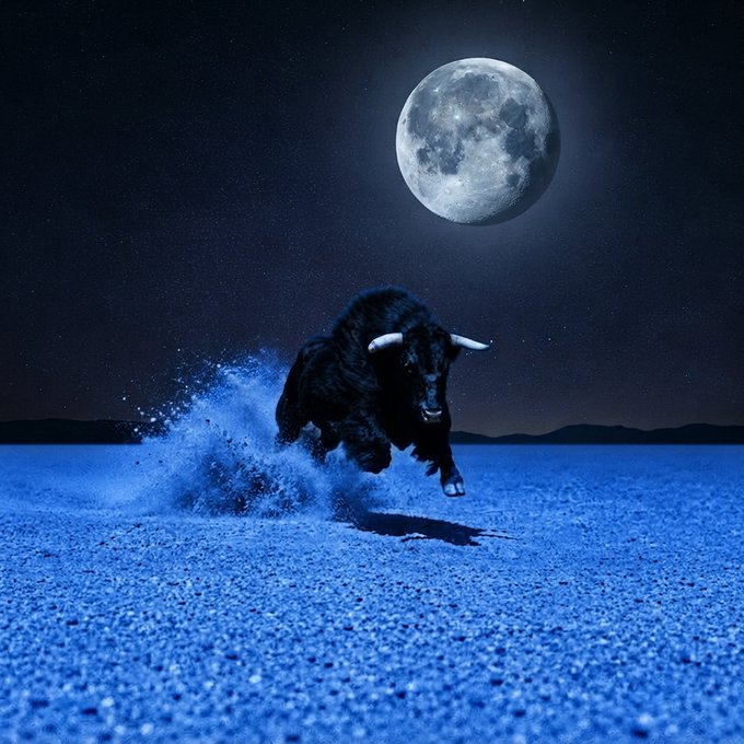 A powerful black bull charges across a moonlit, dust-splattered plain beneath a glowing full moon, visually embodying the bullish energy referenced in the caption.