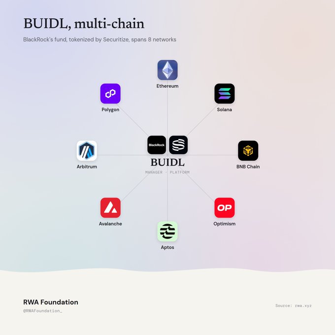 An infographic titled 'BUIDL, multi-chain' showing BlackRock's tokenized fund by Securitize spanning 8 networks: Ethereum, Solana, BNB Chain, Optimism, Aptos, Avalanche, Arbitrum, and Polygon, sourced from RWA Foundation.