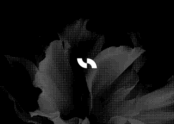 A dark, moody close-up image of a person's eyes and face barely visible through shadowy, halftone-textured darkness.