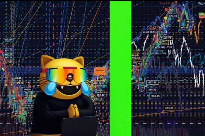 A digital illustration of a cat wearing rainbow sunglasses with tears of joy, working on a laptop against a background of colorful stock market charts.