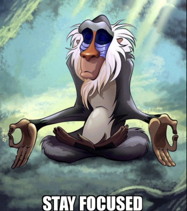 A digital illustration of Rafiki from The Lion King sitting cross-legged in a meditative pose with the caption 'STAY FOCUSED'.