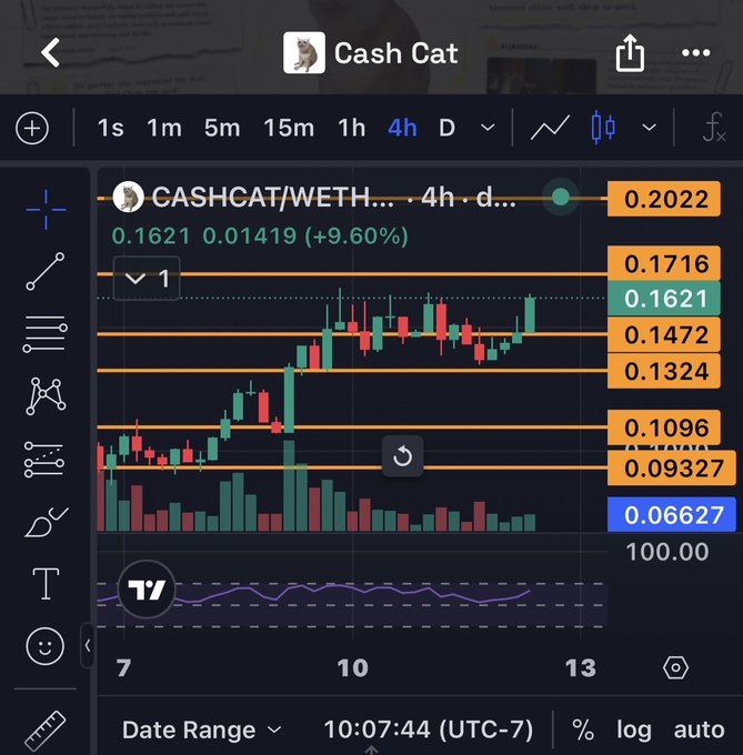 A TradingView candlestick chart showing the CASHCAT/WETH pair on a 4-hour timeframe, displaying a current price of 0.2022 with a 9.60% gain and various price levels marked in orange and blue boxes.
