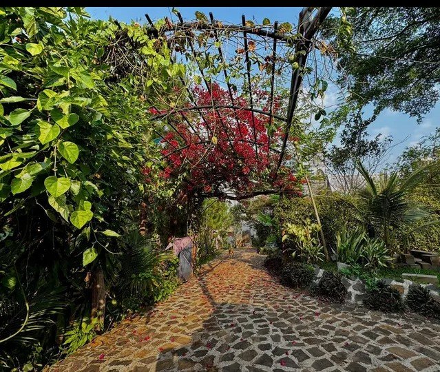 A stone pathway winds through a lush garden under a wooden pergola draped in vines, with a vibrant red-flowering tree arching overhead and scattered red petals carpeting the walkway. The scene captures the warm, fresh-start energy of the post's Monday morning greeting, inviting viewers to step into a peaceful, sunlit beginning to the week.