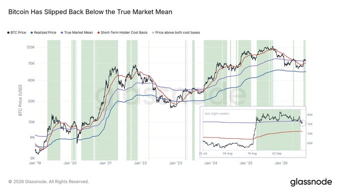 A Glassnode chart titled 'Bitcoin Has Slipped Back Below the True Market Mean' showing BTC price from Jan 2019 to 2026.