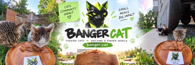 The promotional banner for **$BANGERCAT** features the tagline "Cats Community Impact" and "Small Meals, Big Impact," showcasing the brand's mission of "Feeding Cats ♥ Building a Kinder World" through its mascot and photos of cats eating from bowls. It highlights that 1 billion BANGERCAT tokens equal "Good Cats = Ends Stray Tomorrows," visually reinforcing the post's message that the memecoin uses trading fees to fund food, shelter, and medical care for street cats.