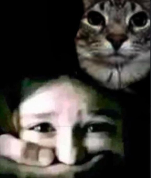 A dark meme-style image showing a wide-eyed cat above a distorted human face peeking from below.