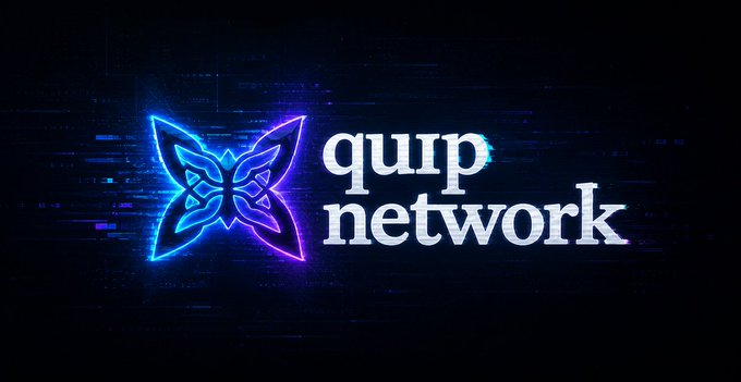 A digital logo with a neon blue and purple butterfly icon next to the text 'quip network' displayed on a dark background with glitch effects.