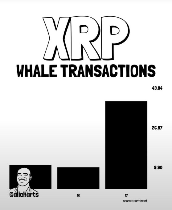 This image visually represents the surge in XRP whale transactions, with bars showing values of 9.90 and 43.84, and labels "16" and "17" as data points, and features the @alicharts watermark.