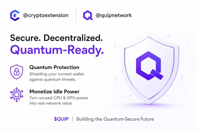 The image features a purple shield with a Q symbol, which is part of a website called "quipnetwork". The website's main focus appears to be on Quantum-Protection, as indicated by the text that reads "Quantum-Protection". This suggests that the website aims to provide solutions for securing data and transactions in the context of Quantum computing.