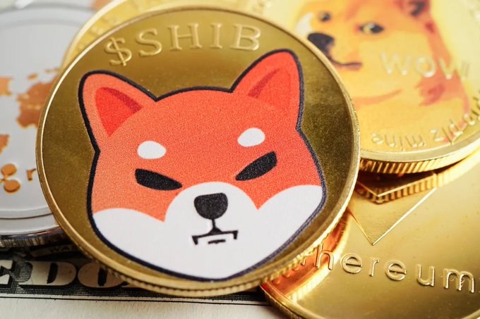 A close-up of gold Shiba Inu-themed $SHIB tokens stacked atop U.S. dollar bills and an Ethereum coin, visually emphasizing the massive 1.11 trillion $SHIB holdings SBI banking group acquired through its Coinhako takeover.