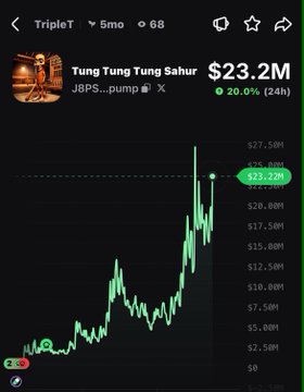A cryptocurrency tracking chart displays "Tung Tung Tung Sahur" (ticker $TripleT) with a market cap of $23.2M, showing a 20.0% gain over the past 24 hours on its JBPS...pump chart, visually confirming the post's claim of a significant daily pump.