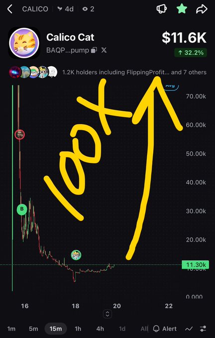 A trading chart for the Calico Cat memecoin (BAQP...pump) showing a market cap of $11.6K with a 32.2% increase, heavily annotated with large yellow handwritten '100x' and an upward arrow.