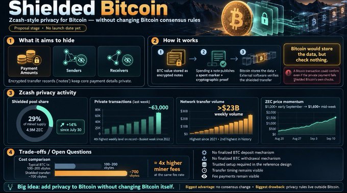 An infographic titled 'Shielded Bitcoin' detailing Zcash-style privacy proposals for Bitcoin, including charts on private transactions, network transfer volume, and ZEC price momentum.